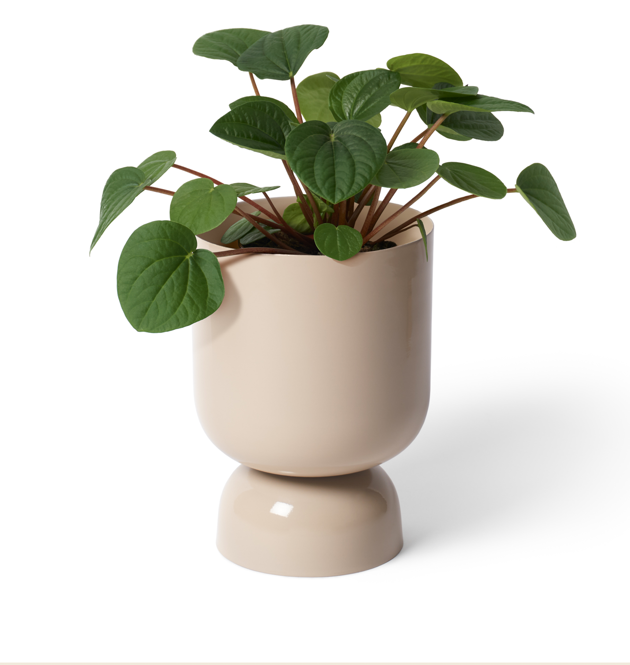goblet plant pot Goblet Planter l Sand – Elsk Botanical