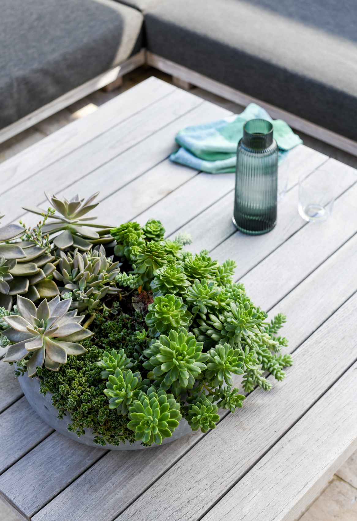 indoor succulent bowl Succulent Bowl