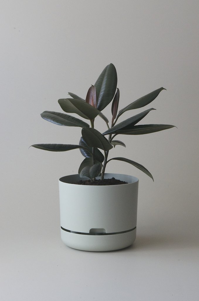 Mr Kitly x Decor Self Watering Pot 250mm (more colours)