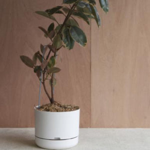 mr kitly self-watering plant pot Mr Kitly x Decor Self Watering Pot 375mm (more colours)