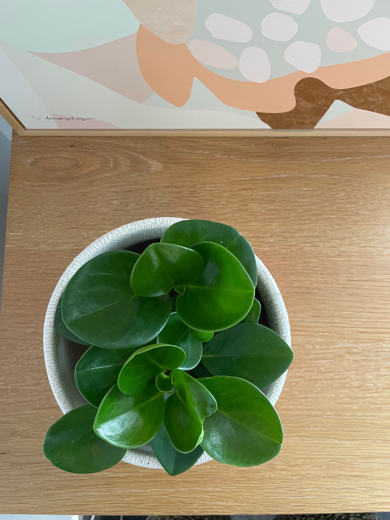 Peachy Pot